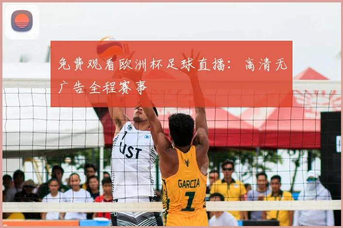 免费观看欧洲杯足球直播:高清无广告全程赛事