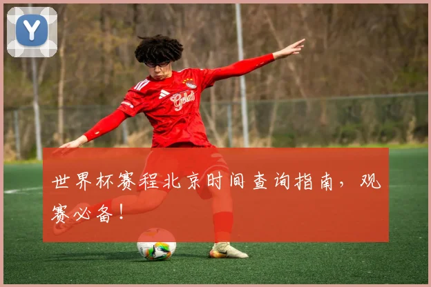 世界杯赛程北京时间查询指南，观赛必备！