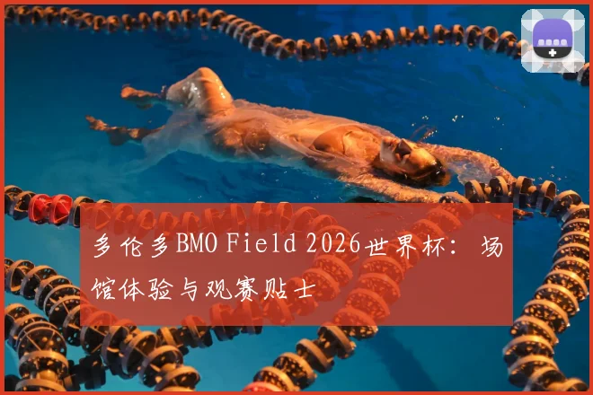 多伦多BMO Field 2026世界杯：场馆体验与观赛贴士