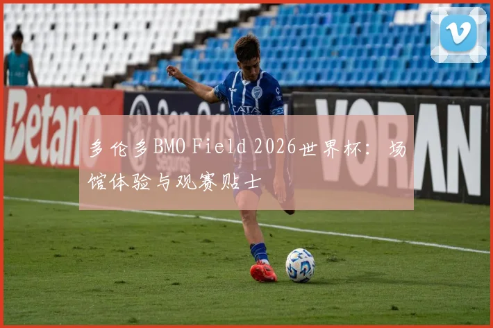 多伦多BMO Field 2026世界杯:场馆体验与观赛贴士
